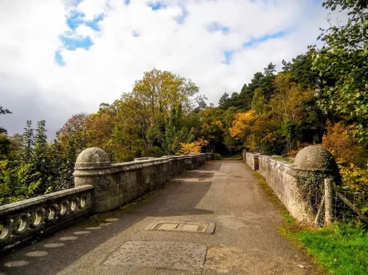 The Bridge That Dogs Keep Jumping Off For No Reason
